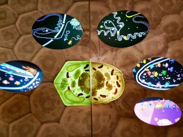 国立科学博物館に投稿された画像（2021/9/12）