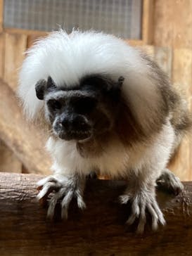 神戸どうぶつ王国に投稿された画像（2021/9/12）