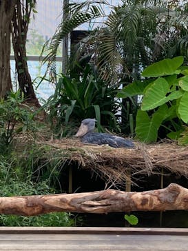 神戸どうぶつ王国に投稿された画像（2021/9/12）