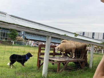 神戸どうぶつ王国に投稿された画像（2021/9/12）