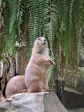 神戸どうぶつ王国に投稿された画像（2021/9/12）