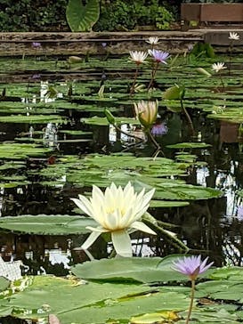 神戸どうぶつ王国に投稿された画像（2021/9/12）