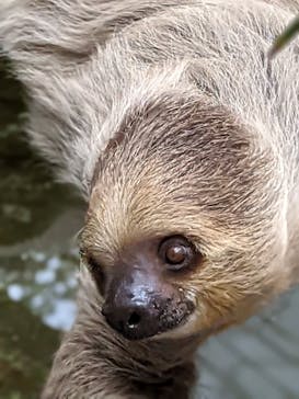 神戸どうぶつ王国に投稿された画像（2021/9/12）