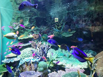 サンシャイン水族館に投稿された画像（2021/9/12）