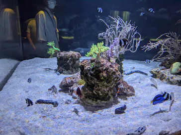 すみだ水族館に投稿された画像（2021/9/12）