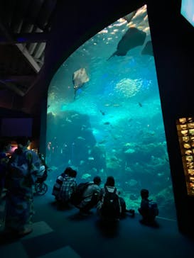 新江ノ島水族館に投稿された画像（2021/9/12）