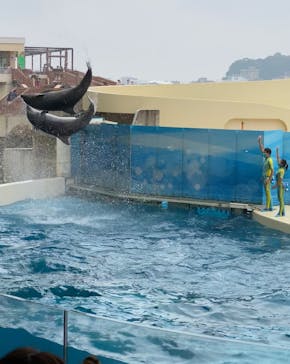 新江ノ島水族館に投稿された画像（2021/9/12）