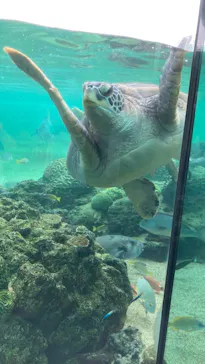 横浜・八景島シーパラダイスに投稿された画像（2021/9/12）
