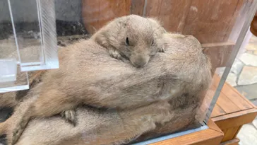 横浜・八景島シーパラダイスに投稿された画像（2021/9/12）