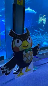 横浜・八景島シーパラダイスに投稿された画像（2021/9/12）