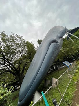 国立科学博物館に投稿された画像（2021/9/12）