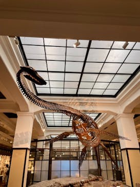 国立科学博物館に投稿された画像（2021/9/12）