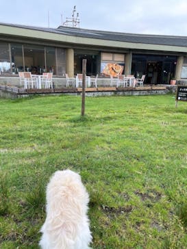 サンメドウズ清里に投稿された画像（2021/9/12）