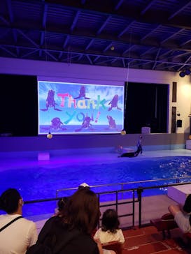 よみうりランド 遊園地に投稿された画像（2021/9/12）