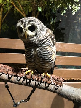 Moff animal world MARK IS みなとみらい店に投稿された画像（2021/9/13）