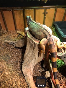 Moff animal world MARK IS みなとみらい店に投稿された画像（2021/9/13）