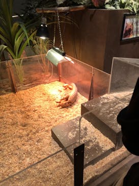 Moff animal world MARK IS みなとみらい店に投稿された画像（2021/9/13）