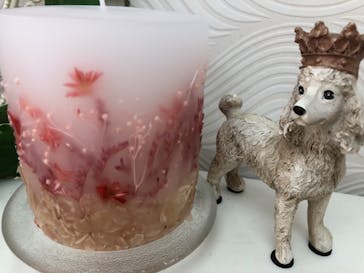 ずこうしつ〜sugamo〜に投稿された画像（2021/9/13）