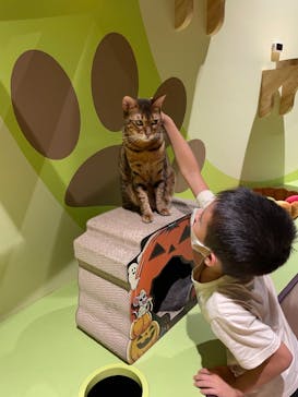 Moff animal world MARK IS みなとみらい店に投稿された画像（2021/9/13）