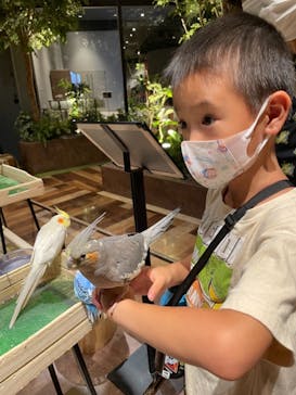 Moff animal world MARK IS みなとみらい店に投稿された画像（2021/9/13）