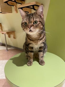 Moff animal world MARK IS みなとみらい店に投稿された画像（2021/9/13）