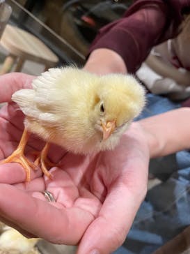 Moff animal world MARK IS みなとみらい店に投稿された画像（2021/9/13）