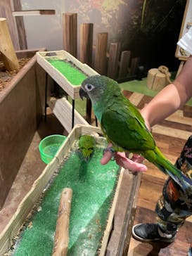 Moff animal world MARK IS みなとみらい店に投稿された画像（2021/9/13）