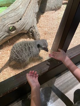 Moff animal world MARK IS みなとみらい店に投稿された画像（2021/9/13）