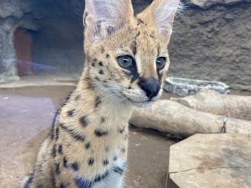 神戸どうぶつ王国に投稿された画像（2021/9/13）