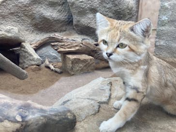 神戸どうぶつ王国に投稿された画像（2021/9/13）