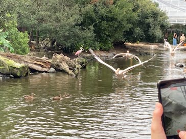 神戸どうぶつ王国に投稿された画像（2021/9/13）