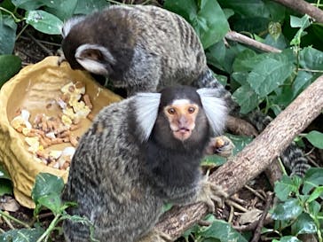 神戸どうぶつ王国に投稿された画像（2021/9/13）