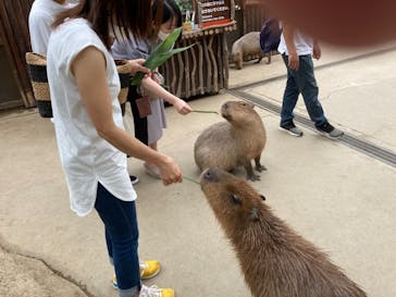 神戸どうぶつ王国に投稿された画像（2021/9/13）