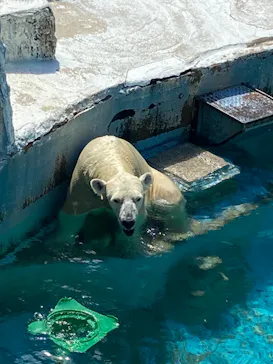 天王寺動物園に投稿された画像（2021/9/13）