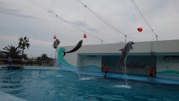 南知多ビーチランド＆南知多おもちゃ王国に投稿された画像（2021/9/13）