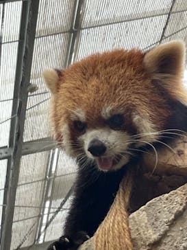 神戸どうぶつ王国に投稿された画像（2021/9/13）