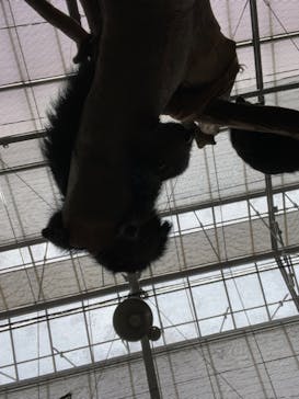 神戸どうぶつ王国に投稿された画像（2021/9/13）