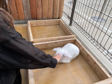 神戸どうぶつ王国に投稿された画像（2021/9/13）