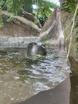 神戸どうぶつ王国に投稿された画像（2021/9/13）