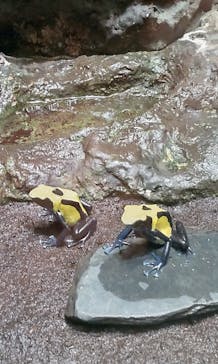 サンシャイン水族館に投稿された画像（2021/9/13）