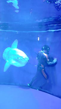 サンシャイン水族館に投稿された画像（2021/9/13）