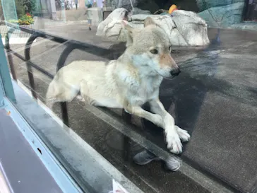 天王寺動物園に投稿された画像（2021/9/13）