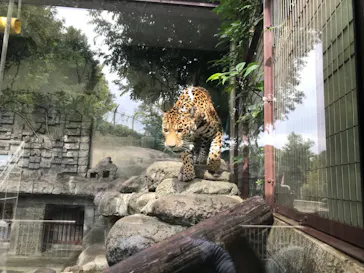 天王寺動物園に投稿された画像（2021/9/13）