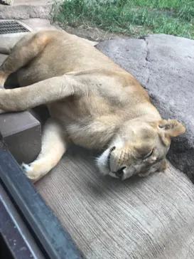 天王寺動物園に投稿された画像（2021/9/13）
