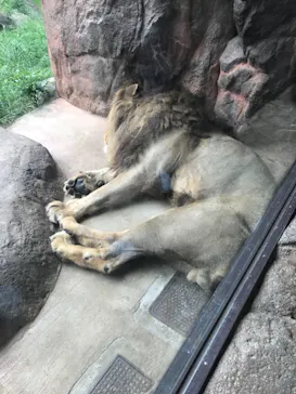 天王寺動物園に投稿された画像（2021/9/13）