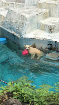 天王寺動物園に投稿された画像（2021/9/13）