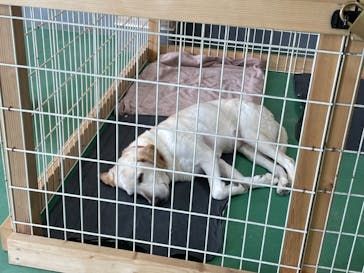 東武動物公園に投稿された画像（2021/9/13）