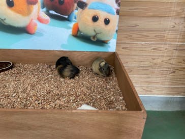 東武動物公園に投稿された画像（2021/9/13）