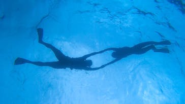 ちゃこたびに投稿された画像（2021/9/13）