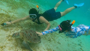 ちゃこたびに投稿された画像（2021/9/13）